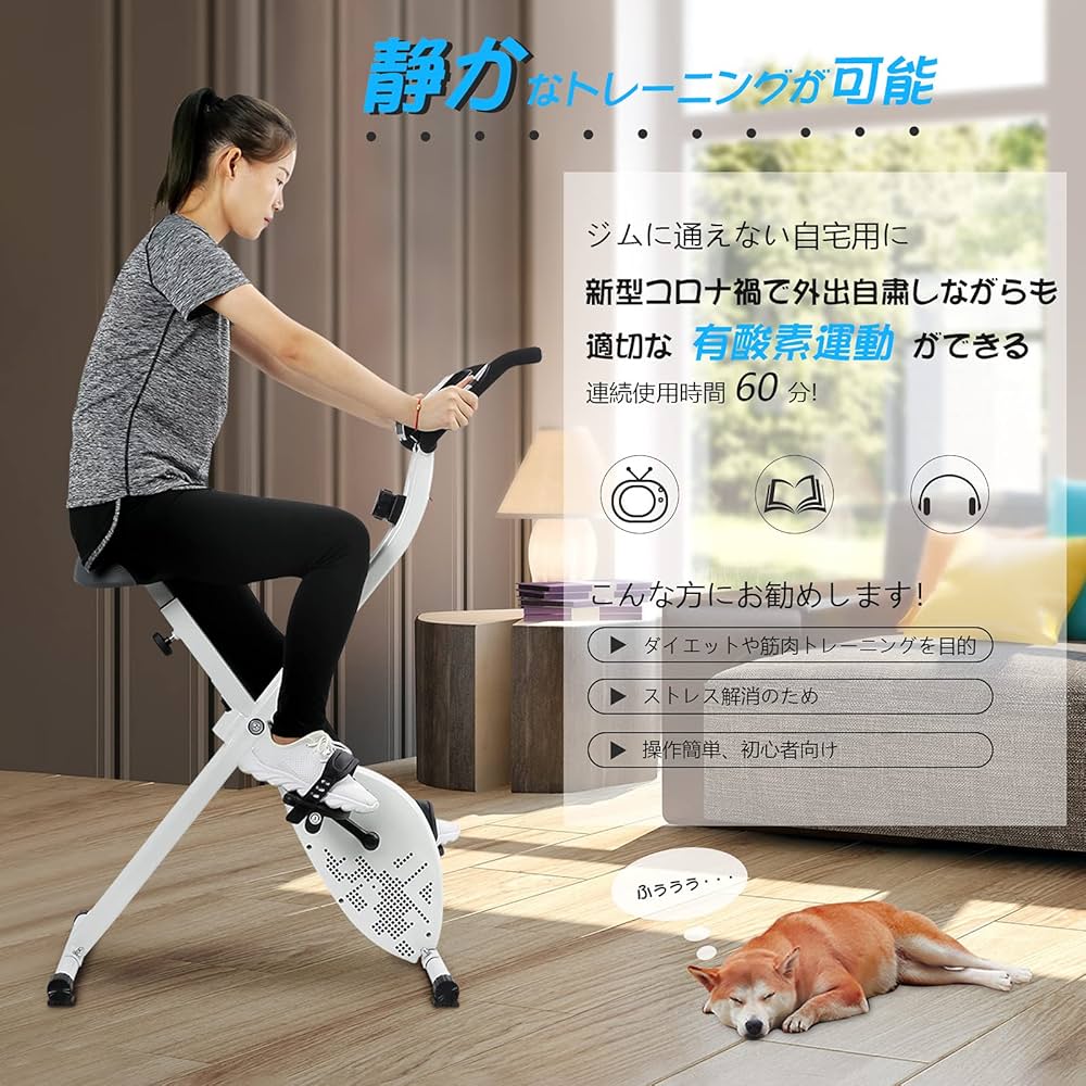 AKNIOエアロバイク Amazon.co.jp: AKNIO エアロマグネティックバイク フィットネス